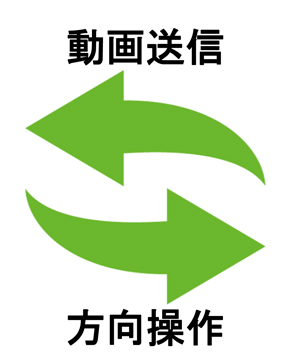 図